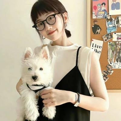恶搞之家第十五季